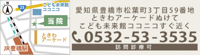 愛知県豊橋市松葉町3丁目59番地　ときわアーケードぬけて　こども未来館ニコニコすぐ近く　?0532-53-3535　訪問診療可